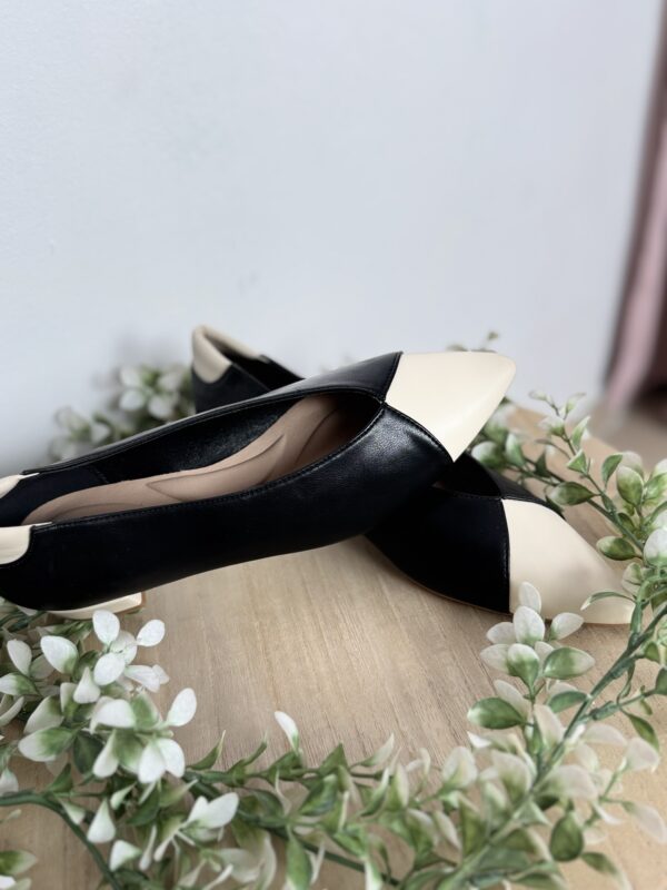Bailarinas Bicolor - Imagen 2